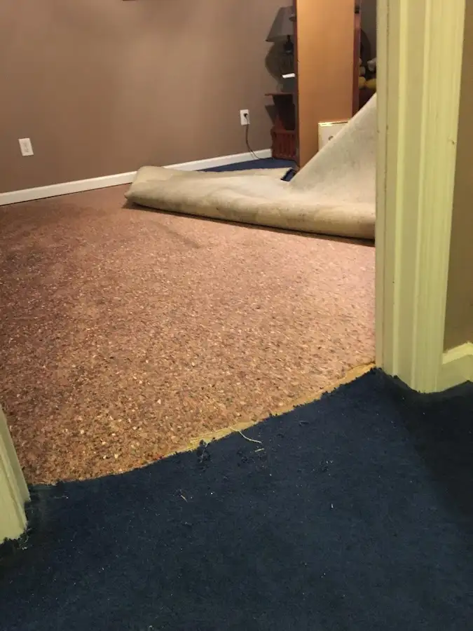 Carpet pad removal revealing water damage during Drying & Dehumidification in Oceola